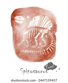 Fossil of Spinosaurus dinosaur in rock . Watercolor paint design . Vector .