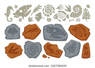 Fossil stone with dinosaur footprint, bone trace, leaf plant and fish imprint on rock, prehistoric seashell and different jurassic animal skeleton drawing pattern isolated vector illustration