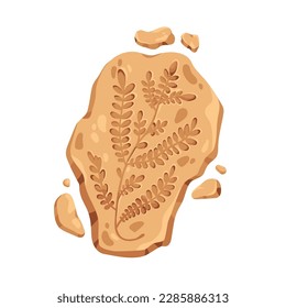 Fossil stone, fossilized rock. Natural plant imprint, organic mark on old ancient mineral. Archaeology art with leaf branch, prehistory trace. Flat vector illustration isolated on white background