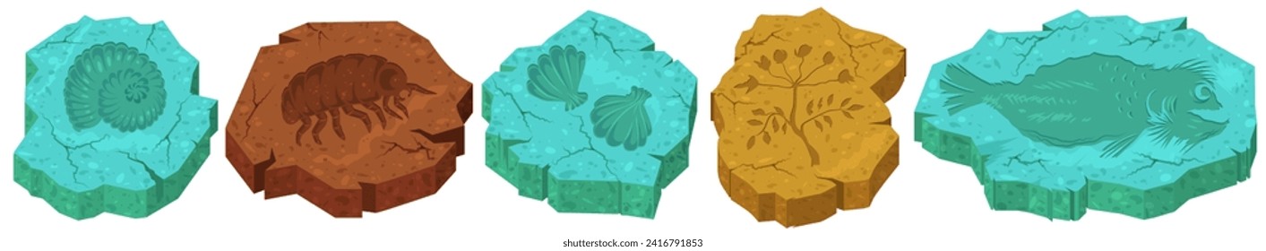 Fossil stones with beetles, shell, plants, fish, mollusks footprint and silhouettes set. Ammonite limestone with prehistoric underwater animals skeletons and in rock cartoon vector illustration