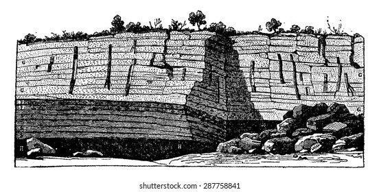 Fossil trees found standing in the coal mines of Saint-Etienne, vintage engraved illustration. Earth before man  1886.