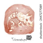 Fossil of Triceratops dinosaur in rock . Watercolor paint design . Vector .