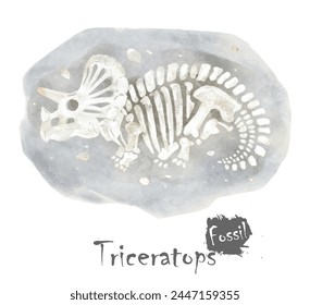 Fossil of Triceratops dinosaur in rock . Watercolor paint design . Vector .