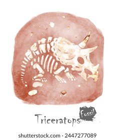 Fossil of Triceratops dinosaur in rock . Watercolor paint design . Vector .