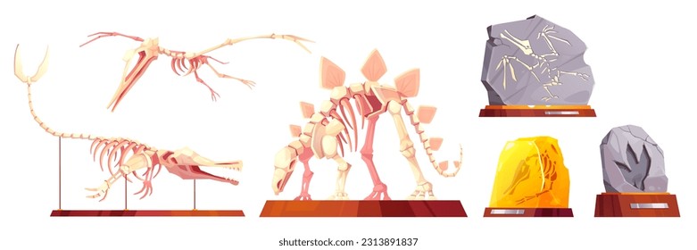 Triceratops fósiles y esqueleto vectorial pterodáctilo sobre el conjunto de iconos vectores de caricatura de paleontología peatonal. Ilustración de huellas de dinosaurios de piedra de museo. Calavera aislada con captación de clídeo óseo