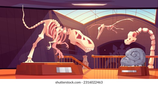 Fossil tyrannosaurus dinosaur skeleton in museum cartoon vector ancient exhibit. Archaeology interior room with pedestal and flying pterodactyl bone in gallery near window. Prehistory animal discovery