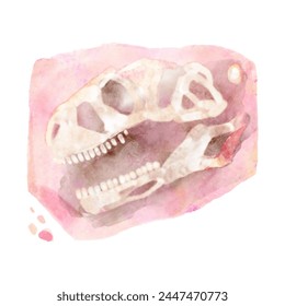 Fossil of Tyrannosaurus rex skull dinosaur in rock . Watercolor paint design . Vector .