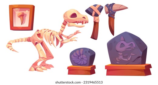 Fossil tyrannosaurus skeleton cartoon museum icon. Vector paleontology and jurassic dinosaur discovery exhibit set for prehistory gallery. Isolated ammonite and rex on pedestal graphic illustration