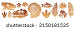 Fossil vector. Archeologic fossil dig set. Dinosaur dino foot, sea animal, fish skeleton, plant, shell. Ancient sand stone. Evolution rock prehistoric art. Paleontology, history limestone watercolor