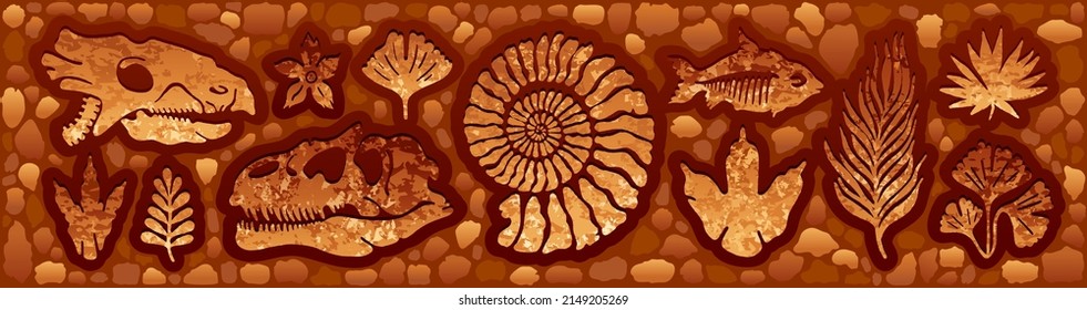 Vector fósil. Juego de excavaciones fósiles arqueológicas. Pie de dino de dinosaurio, animal marino, esqueleto de pescado, planta, concha. Piedra de arena antigua. Evolución rock arte prehistórico. Paleontología, historia caliza acuarela