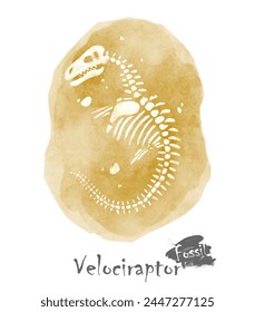 Fossil of Velociraptor dinosaur in rock . Watercolor paint design . Vector .