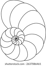 Fossilized sea shell. Vector line art drawing on a transparent background. A graphic resource, or can be used as a coloring page. Marine-themed illustration.