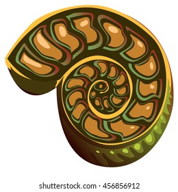 Fossilized shell of Ammonite isolated on a white background. Vector illustration.
