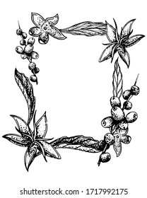 Foto frame leaves and flowers