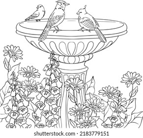 Fountain birds flowers coloring book hand vector