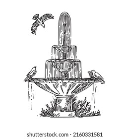 Fountain with birds in park. Sketch. Engraving style Vector illustration.