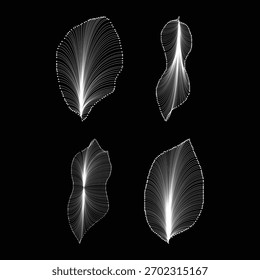 Quatro formas abstratas, luminosas, orgânicas compostas de pontos brancos contra um fundo preto, assemelhando-se a organismos microscópicos ou nebulosas.