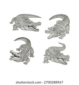 Quatro jacaré com padrões intrincados definido, predador da vida selvagem Cocordile colorir livro design decorativo.