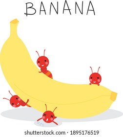 Four ants and banana,Cute cartoon ant vector collection for kids, cartoon ant in flat style isolated on white background. Wild animal,cute ant cartoon for background, card, Book, poster