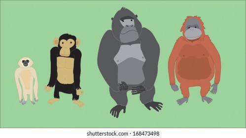 four apes stand in line