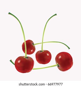 Four appetizing mature cherries on a pink background