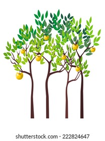 Four Apple Trees. Small apple garden. Illustration with four abstract apple trees with fruits. Isolated on white background. Vector is EPS8. All elements are grouped by colors.
