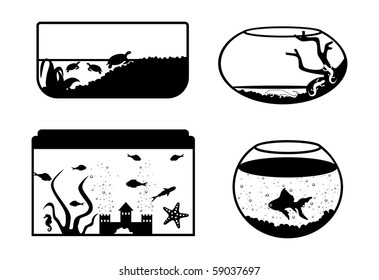 Four aquarium with various fauna