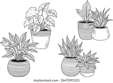 Four artistic sketches of potted plants in various designs A collection of monochrome line art of potted plants with different leaf structures and pot styles