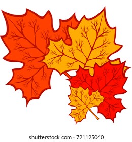 Four autumn leaves.