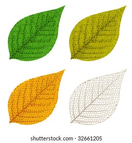 Four autumn mosaic leaves isolated on white background