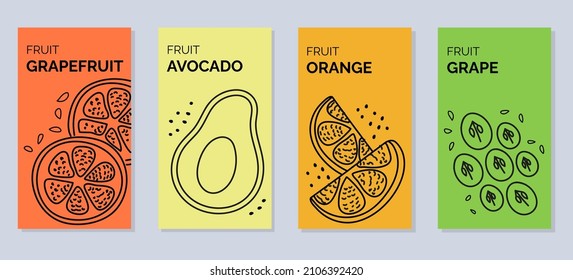 Four banners with contour vector illustrations of fruits - grapefruit, avocado, orange, grapes