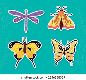 four beauty butterflies insects scene