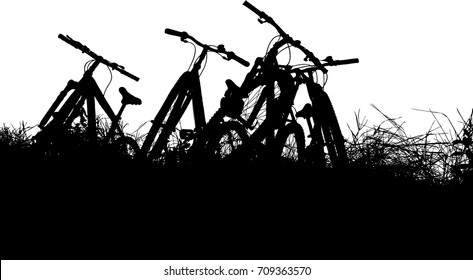 Four bicycle rest in grass vector image