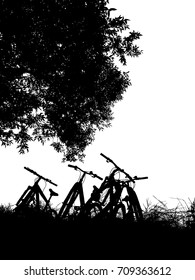 Four bicycle rest under the tree in grass