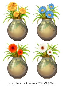 Four big pots with flowers on a white background 