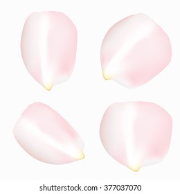 Four big Roses petals vector isolated on white. Beautiful set of pink white rose flower petal. Created with mesh spring summer flowers petal concept. Tender and romantic elements for wedding and spa.