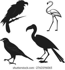 Four bird silhouettes including crow, eagle, flamingo, and stork on white background.