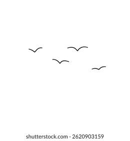 A Four birds are flying.