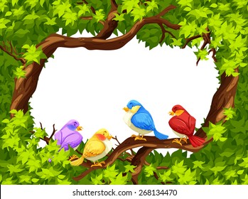 Four birds sitting on a branch of a tree