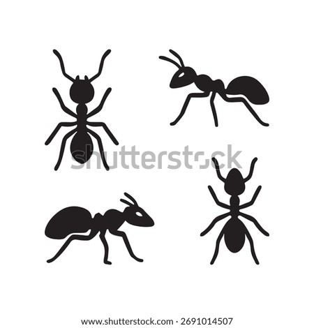 Four black ants insect or ant silhouettes in various poses on white background 
