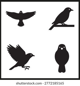 Four black bird silhouettes in grid showing flight perch landing and resting poses on white background
