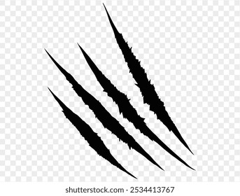 Four black claw scratches isolated on a transparent background. Perfect for Halloween designs, horror themes, and animalistic effects.