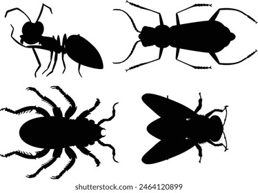 Four black insect silhouettes on a white background