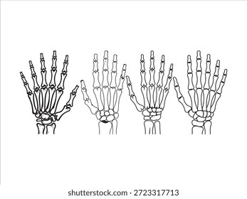 Four black line skeleton hands in various open palm poses hand bones anatomy human anatomy