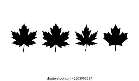 Four black maple leaf silhouettes against a white background a botanical illustration style silhouette leaves acer foliage autumn