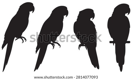 Four black parrot silhouettes are depicted against a white background presented as a vector illustration.