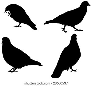 Four black shape of a pigeons