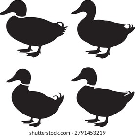 Four black silhouette of ducks standing in different poses on a plain white background, for birds d