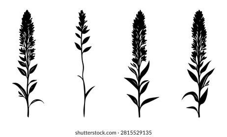 Four black silhouettes of plants showcasing diverse leaf shapes and growth patterns, isolated on a white background for botanical illustration or design.