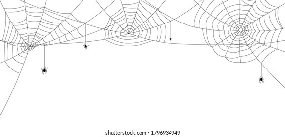 Four black spiders hanging down from three spiderwebs. White background. Vector illustration.